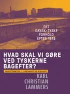 Hvad skal vi gøre ved tyskerne bagefter? Det dansk-tyske forhold efter 1945
