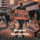 Kampen mod racisme