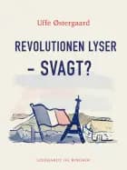 Revolutionen lyser - svagt?