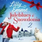 Juleblues i Snowdonia: 2