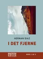 I det fjerne (Storskrift)