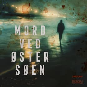 Mord uden grænser af Janne Aagaard