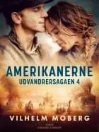 Amerikanerne