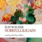 Norrtullsligaen
