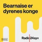 Ud at spise med en mesterkok: Bo Jacobsen på Krogs Fiskerestaurant