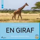 En giraf