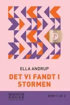 Det vi fandt i stormen (Storskrift)