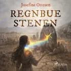 Regnbuestenen