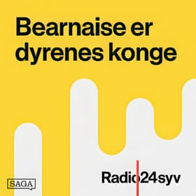 Martin Brygmann - De Unge År af Martin Kongstad