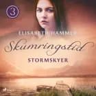 Stormskyer