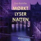 Mørkt lyser natten