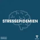 Hvordan forebygger vi stress?