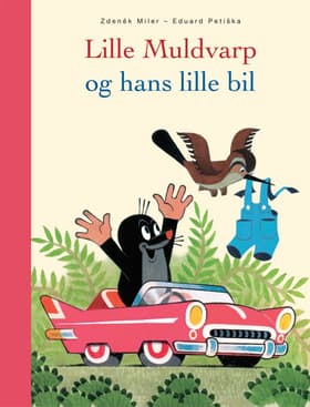 Lille Muldvarp og hans lille bil af Eduard Petiska