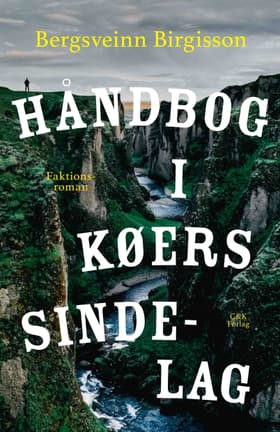 Håndbog i køers sindelag af Bergsveinn Birgisson