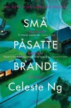 Små påsatte brande