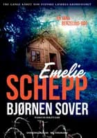 Bjørnen sover
