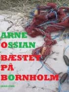 Bæstet på Bornholm. Krimi