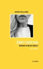 Året der gik, siden vi blev skilt