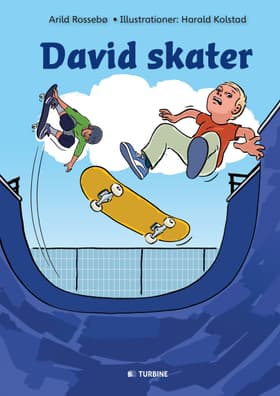 David skater af Arild Rossebø
