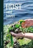 Høst ved havet