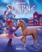 Stjerne - en historie fra Nordlys