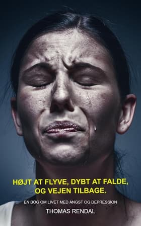 Højt at flyve, dybt at falde, og vejen tilbage. af Thomas Rendal