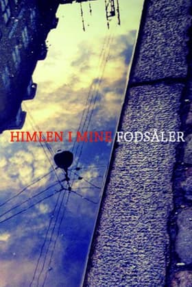 Himlen i mine fodsåler af Jørgen Demant m.fl