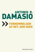 Fornemmelsen af det, der sker