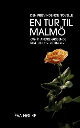En tur til Malmö af Eva Nølke