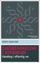 Sagsbehandling i øjenhøjde