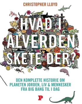 Hvad i alverden skete der? af Christopher Lloyd