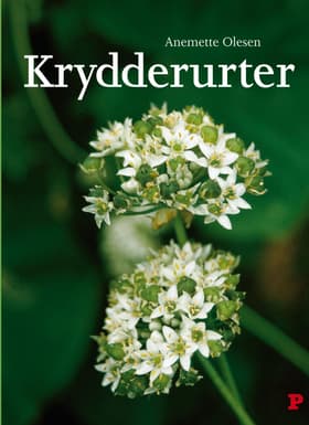 Krydderurter af Anemette Olesen