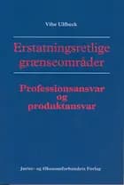 Erstatningsretlige grænseområder