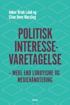 Politisk interessevaretagelse