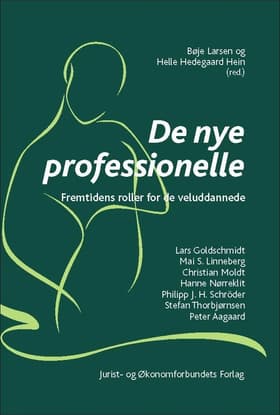 De nye professionelle af Helle Hedegaard Hein