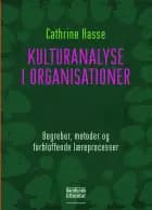 Kulturanalyse i organisationer