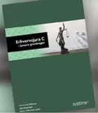 Erhvervsjura C