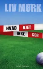 Hvad øjet ikke ser