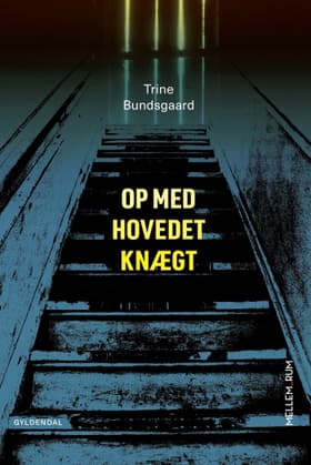 Op med hovedet knægt af Trine Bundsgaard