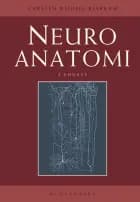 Neuroanatomi