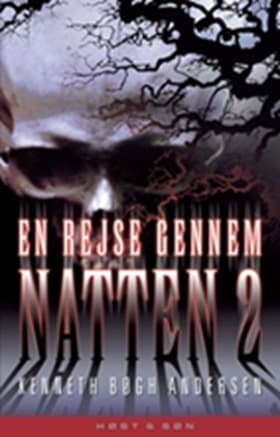 En rejse gennem natten af Kenneth Bøgh Andersen