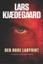 Den røde labyrint