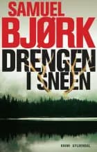Drengen i sneen