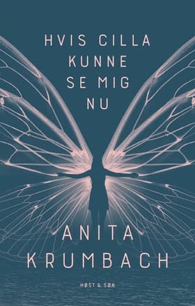 Hvis Cilla kunne se mig nu af Anita Krumbach
