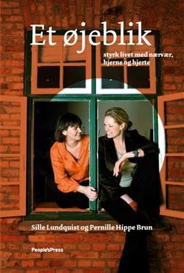 Et øjeblik af Pernille Hippe Brun