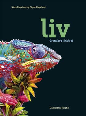 Liv, eBog+ af Signe Høgslund