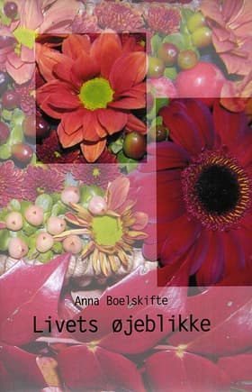 Livets øjeblikke af Anna Boelskifte