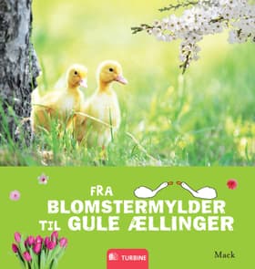 Fra blomstermylder til gule ællinger af Mack