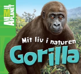 Gorilla af Meredith Costain