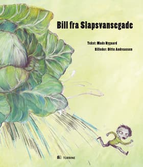 Bill fra Slapsvansegade af Mads Nygaard
